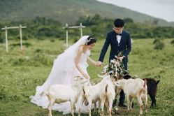 -花漾摄影优选工作室(东莞原创作品店)