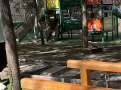 -北京市丰台区学苑幼儿园