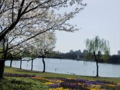 -黄兴公园