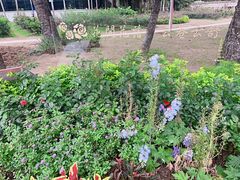 -人民公园(罗湖区)