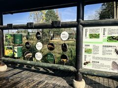 -白鹭湾湿地公园