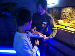 -未来动物城动物主题公园(大悦城店)