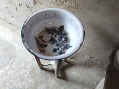 -梁家河村红色旅游区