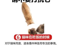 -美迦爱动物医院·夜诊(朝阳路诊疗中心)