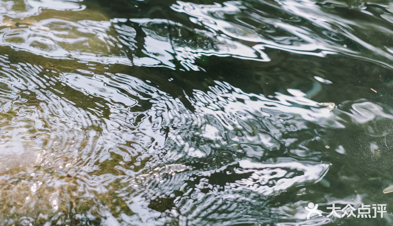 夏日避暑纳凉 荡秋千与竹筏丨绍兴平水溪上