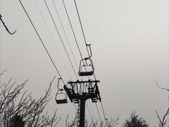 -香山公园
