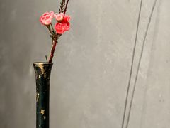 -觀芷隐轩