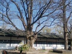 -苏州文庙(姑苏区)
