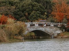 -昆山城市生态森林公园