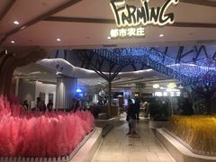 -武汉光谷K11
