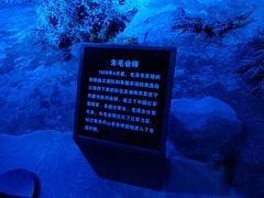-井冈朱毛会师广场