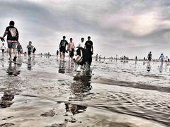 -南汇嘴观海公园