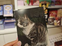 -正阳书局(西四南大街店)