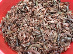 -青石桥市场北1-27号