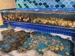 水产区-乔哥铭洋海鲜自助(皇城恒隆广场店)