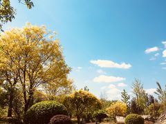 -武清南湖绿博园