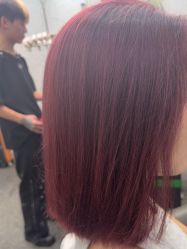 -藤野造型