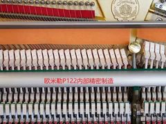 -秦川乐器(河西店)