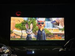 -枫花园汽车电影院(朝阳公园店)