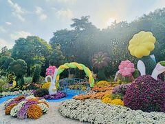 -上海共青森林公园