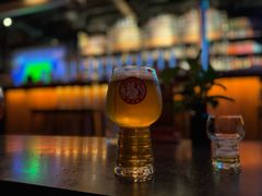-Boxing Cat Brewery拳击猫精酿啤酒馆(思南公馆店)