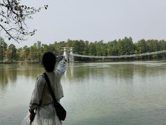 -东湖落雁景区