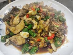 辣炒黑鱼-渔家小岛(蓝天豪庭店)