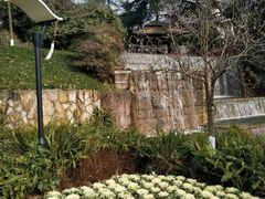 -成飞公园