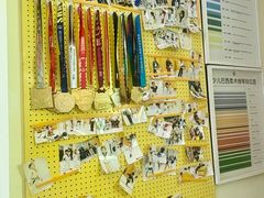 -勇气斑马·巴西柔术&跆拳道(浦东三林店)