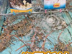 -渔民新村(番禺总店)