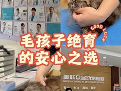 -美联众合动物医院·24h京西诊疗中心