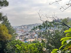 -佛山华盖山公园