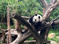 -宁波野生动物园