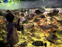 -多彩贵州城极地海洋世界