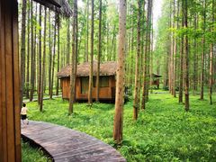 -黄海国家森林公园