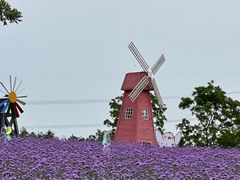 -同里国家湿地公园