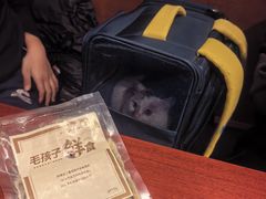 -老坑记·香港经典粤菜馆