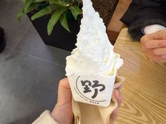 -野人先生Gelato(上海长宁龙之梦店)