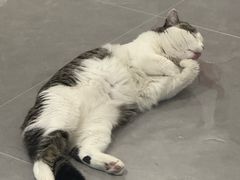 -阿古蒙·传统涮火锅自助(三台子万象汇店)