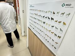 -宠福鑫康馨动物医院·骨科·眼科