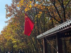 -茅兰沟国家森林公园