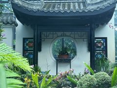 -东莞植物园
