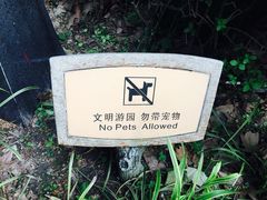 -华山儿童公园