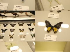 -四川大学博物馆