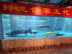 -年辉渔村·非遗传承餐厅(新丰江店)