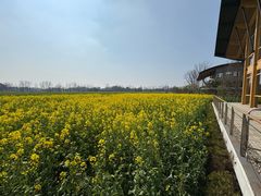 -中国天府农业博览园