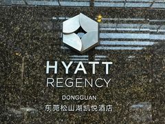 -东莞松山湖凯悦酒店