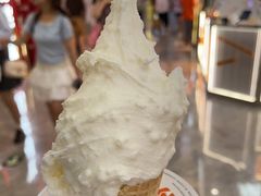 -野人先生现做冰淇淋(西安赛格店)
