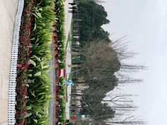 -金沙遗址博物馆