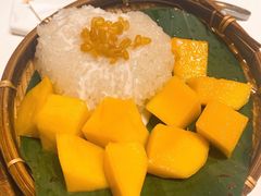 -GOGO Plate(成都太古里店)